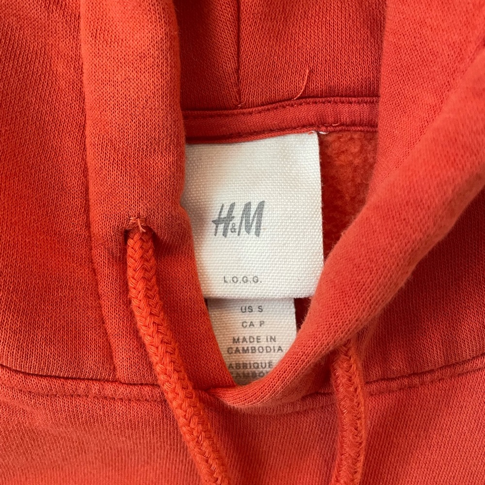 H&M Mount Rainer hoodie - Picture 10 of 11